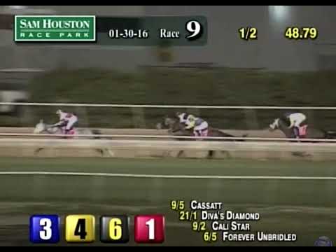 2016 Houston Ladies Classic - Forever Unbridled