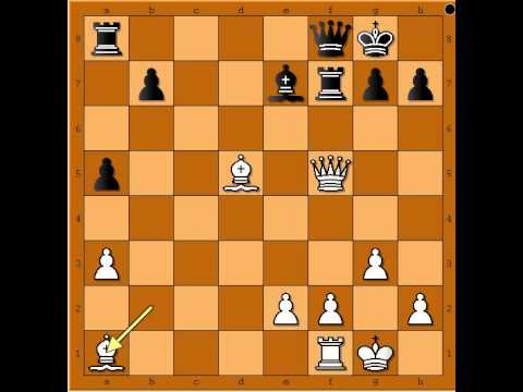 Podsećanje na ugušeni mat - BENKO vs HOROWITZ # 628