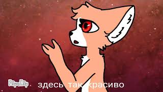 Розовое вино//pink wine //animated meme