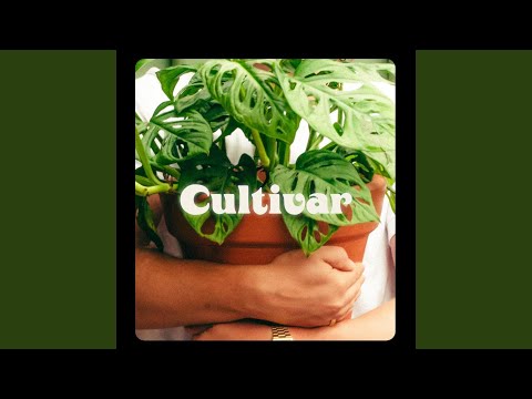 Video thumbnail for Cultivar
