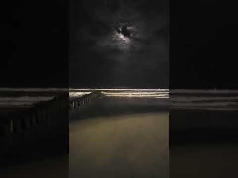 🌊 Ocean Waves & Workdays 🏖️Running a digital business with the sound of the ocean in the background