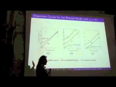Dr. L. Placidi. Numerical simulation of frequency band-gaps in relaxed micromorphic continua.