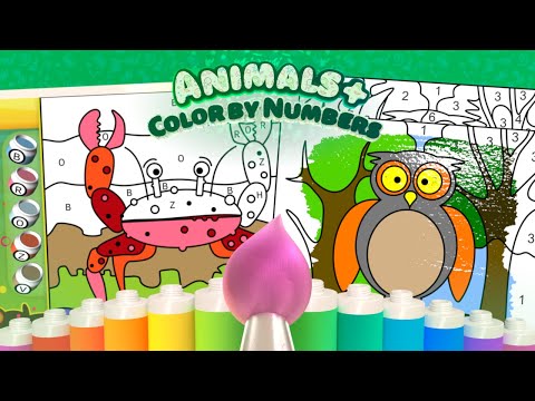 Color by Numbers - Animals + Video