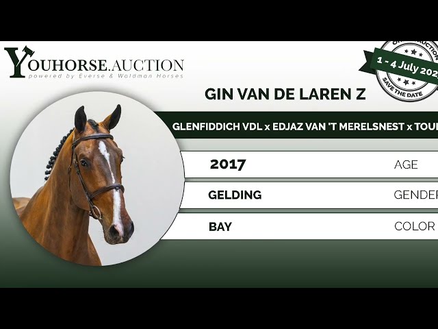 Gin van de Laren @ show