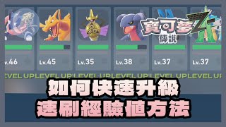 如何快速升級? 速刷經驗值方法! - Pokémon Legends: Z-A 寶可夢傳說 Z-A