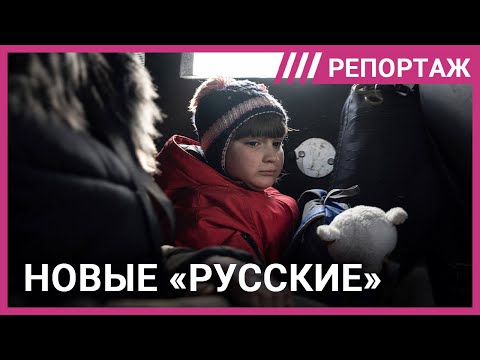 Расследование: как усыновляют украденных из Украины детей. Эксклюзив Дождя