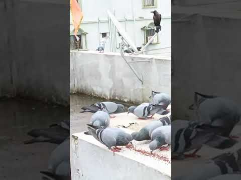 Ae Mausam Full Video - Dil Ne Phir Yaad Kiya|Govinda, Tabu|Udit Narayan, Alka Yagnik