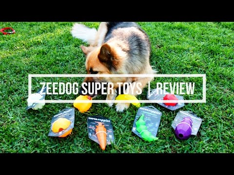 download lagu mp3 mp4 Zee Dog Toys, download lagu Zee Dog Toys gratis, unduh video klip Zee Dog Toys