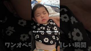 【ワンオペ育児】親にとって最高の瞬間…！ #育児あるある #寝落ち #ワンオペ