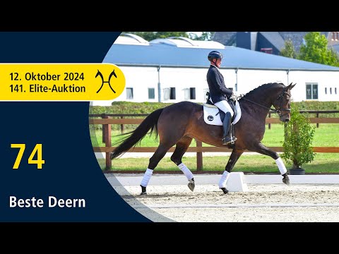 No. 74 Beste Deern by Borsalino - Dauphin | 141. Verden Elite-Auction on October, 12th