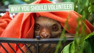 Couple Volunteers Around the World for 2 Years