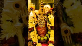 Download lagu Murugan samy mp3