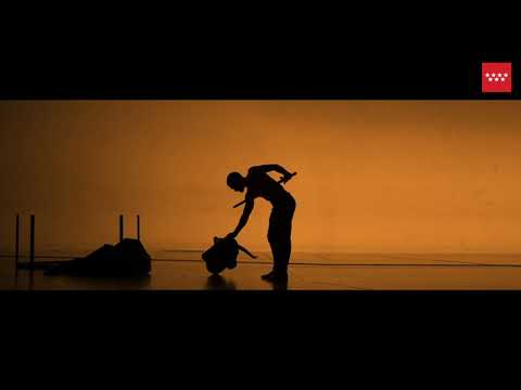 🍁 TRANSVERSE ORIENTATION