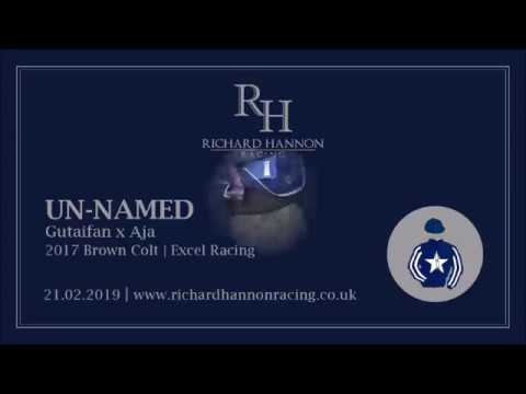 Gutaifan x Aja 21 02 19