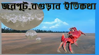 preview picture of video 'Baguran Jalpai Junput~The Untold Story of Junput, Purba Medinipur Contai Sea Coast//Knowledge Natute'