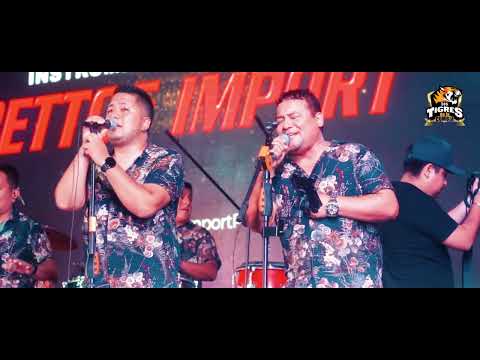 Los Tigres De La Cumbia - Mix Nostálgico / En el Edén En Vivo