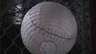 THE SPIRIT OF THE BEEHIVE