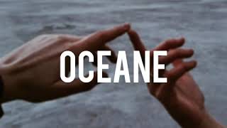 rini ft. olivia escuyos - oceane (tradução)