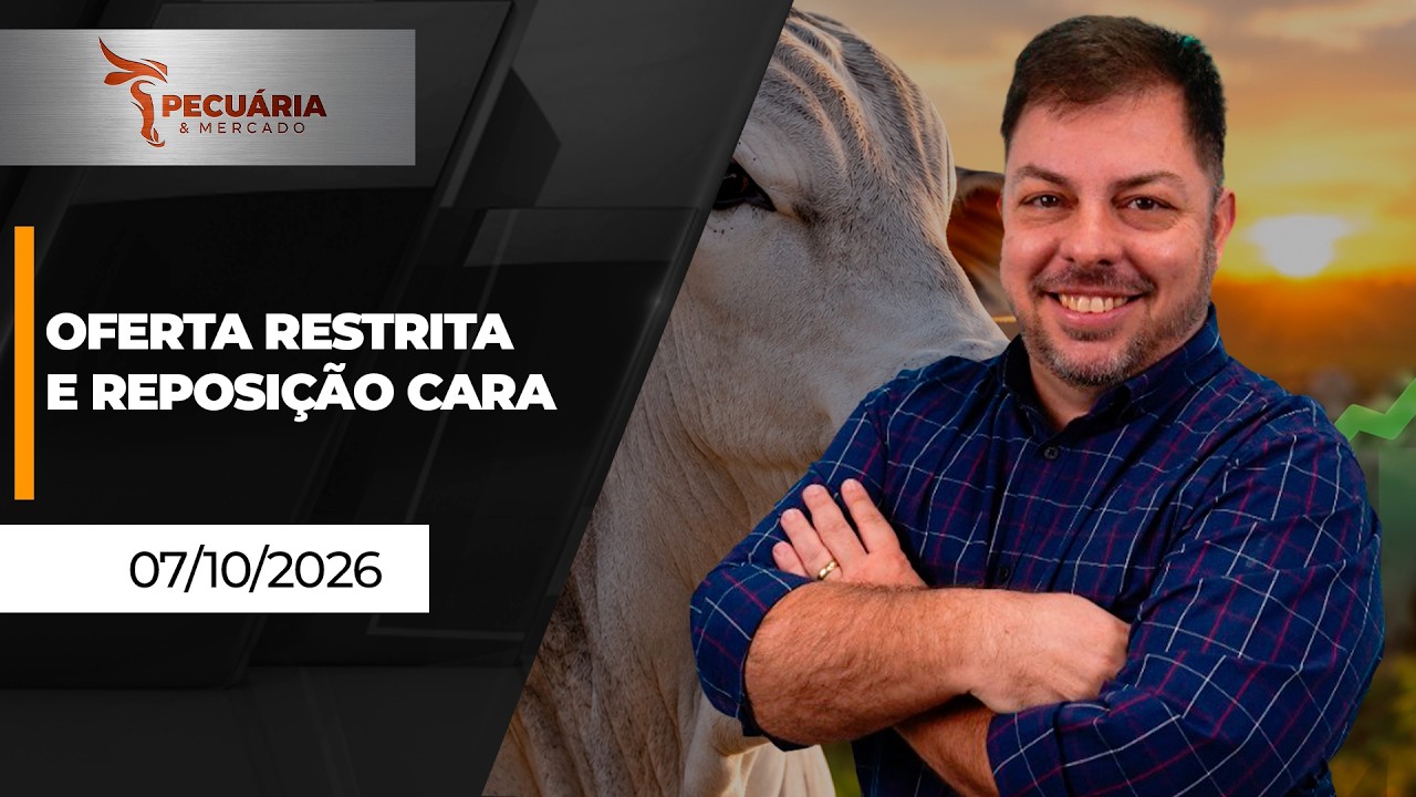 Cenário é de alta para arroba do boi gordo nos próximos seis meses , puxada pela oferta limitada...