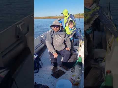 Muy buena pesca en Viamonte 🔥 Laguna La Gringa | Viamonte, Córdoba📱 Reservas: Rodrigo 3537603333.