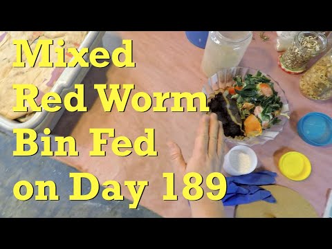 Mixed red worms get 16th feeding on day 189 - vermicompost