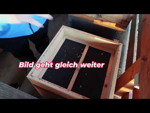 Jürgen Binder Speakung  beim Jupp am 03 01 2026 auch die Lücken besetzt