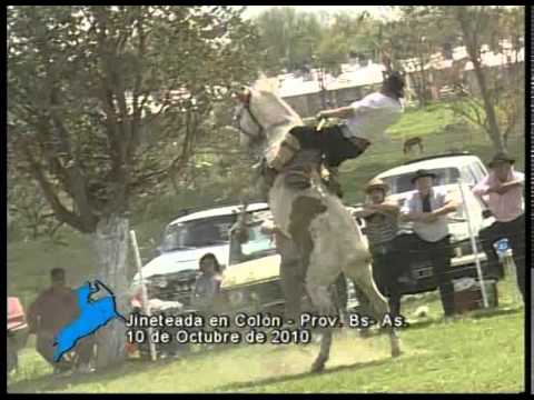 Jineteadas en Colón, Prov. de Buenos Aires (Octubre 2010)
