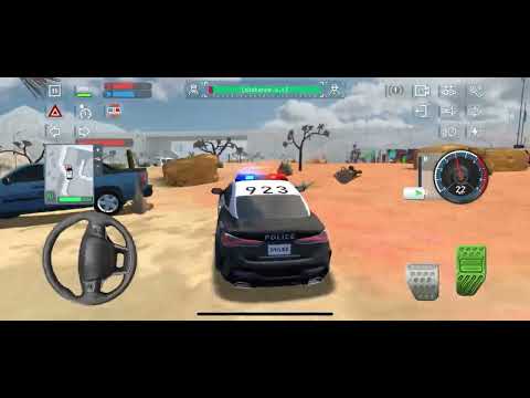 a civilian helped the police catch a criminal in a pickup truck