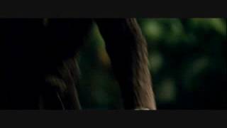 Dry Kill logic - Goodnight