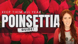 How to Keep a Poinsettia Alive After Christmas (Plant Science Explained)