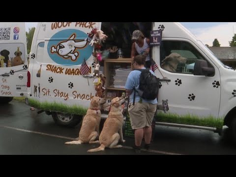 Craigslist Pets Scranton Pa