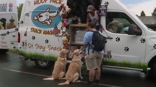 Pet lovers unite at ‘Paws in the Park’ celebration in Scranton