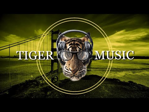 A Foolish Game -  Alex -( ft: Snowflake, Admiral Bob, SackJo22, Martijn de Boer)