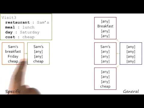 Example Food Allergies III Georgia Tech KBAI Part 4