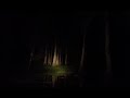 TANGERINE DREAM - 3am AT THE BORDER OF THE MARSH FROM OKEFENOKEE