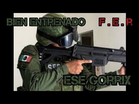 Bien entrenado ESE GORRIX