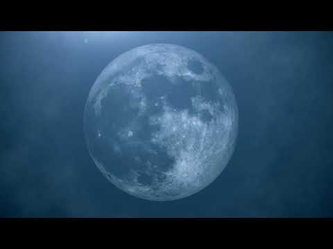 Hijo de la Luna - cover by Tal Barr