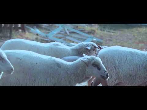 Standby - trailer demo