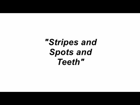 Stripes and Spots and Teeth