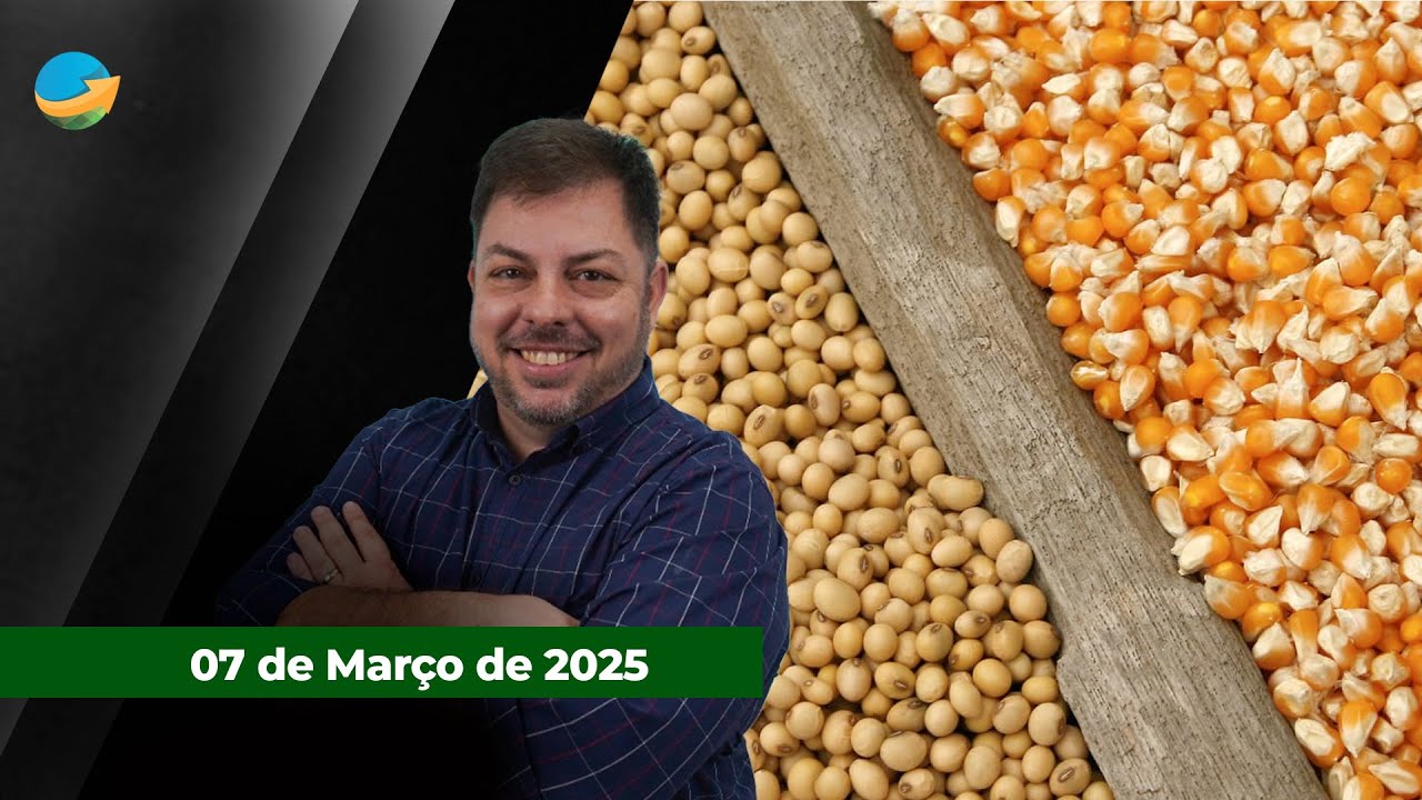 Comercialização da soja avança no Brasil com apoio de prêmio e dólar; Especialistas comentam ta...