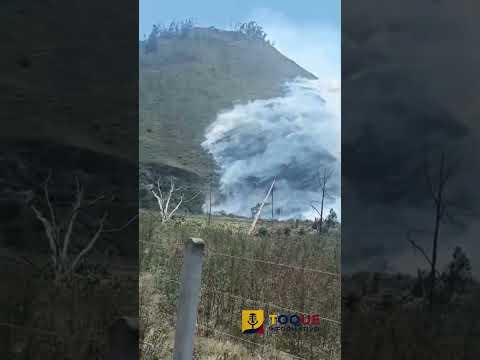 🚨 #𝐏𝐀𝐓𝐀𝐓𝐄 | 𝐈𝐍𝐂𝐄𝐍𝐃𝐈𝐎 𝐅𝐎𝐑𝐄𝐒𝐓𝐀𝐋 𝐄𝐍 𝐄𝐋 𝐒𝐄𝐂𝐓𝐎𝐑 𝐋𝐀 𝐘𝐄𝐃𝐑𝐀