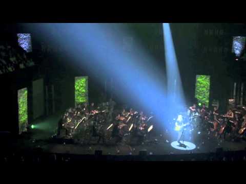 Tina Dico / Dickow - True North