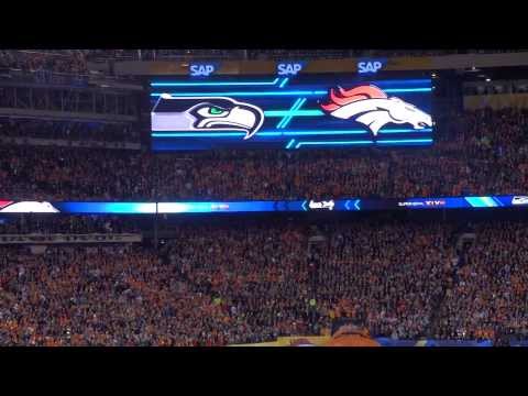 Taima the Hawk's Entrance Before Super Bowl XLVIII Seahawks 43 Broncos 8