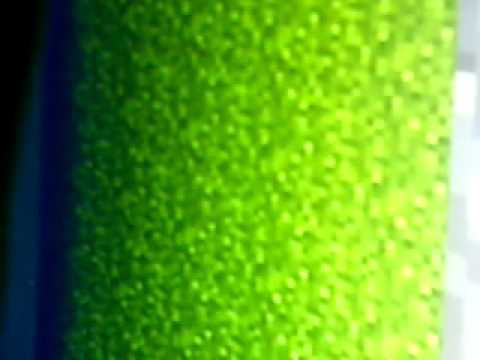 Awesomeness  by Simon