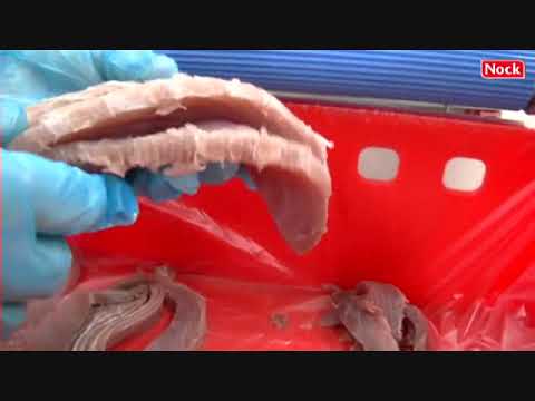 Nock  Cortex CB 435/4E HVC - Cutting Yellow Fin Tuna - CM Machine Services Ltd.