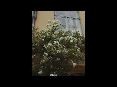 [FREE] guardin, skele, midwest emo type beat | "recycle"