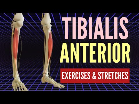 BEST Tibialis Anterior Corrective Exercises