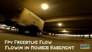 Mouses Basement-Flow-Player 1-Fpv Freestyle-Detroit Quad Crew