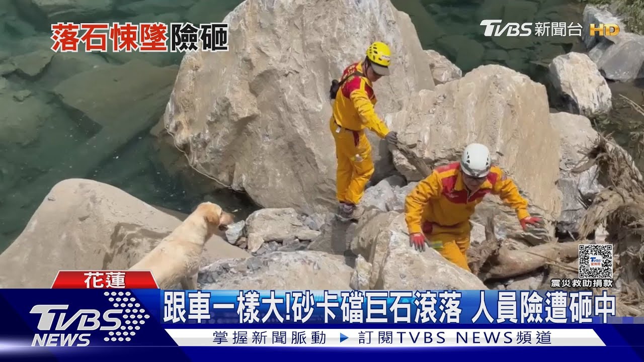 Fancy回來！巨石滾落　消防搜救犬急閃躲