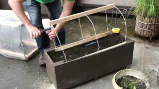 Patio Gardening - Home Made Planter Box Greenhouse - Vancouver